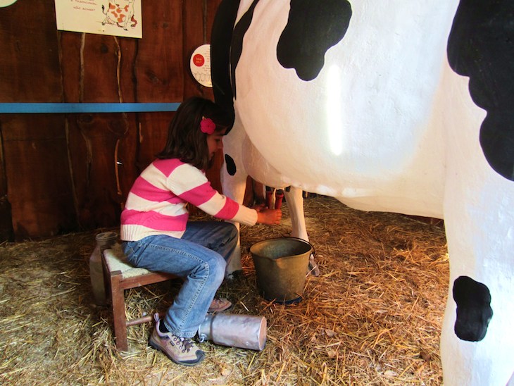 Aprender a ordenhar vaca