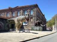 “Dinossauros e o mundo pré-histórico” no Porto