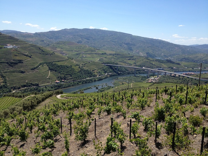 Hotel Rural Quinta do Vallado