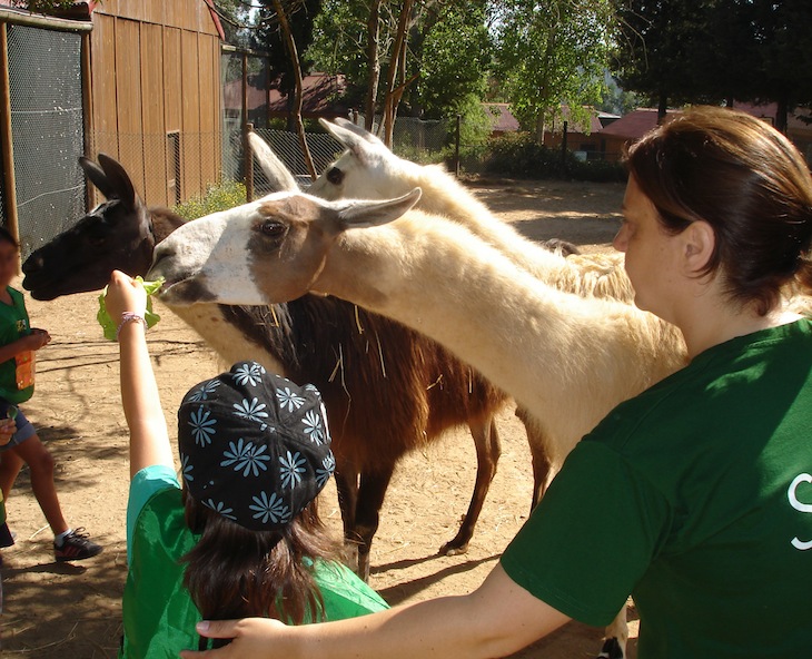 Zoo Santo Inácio