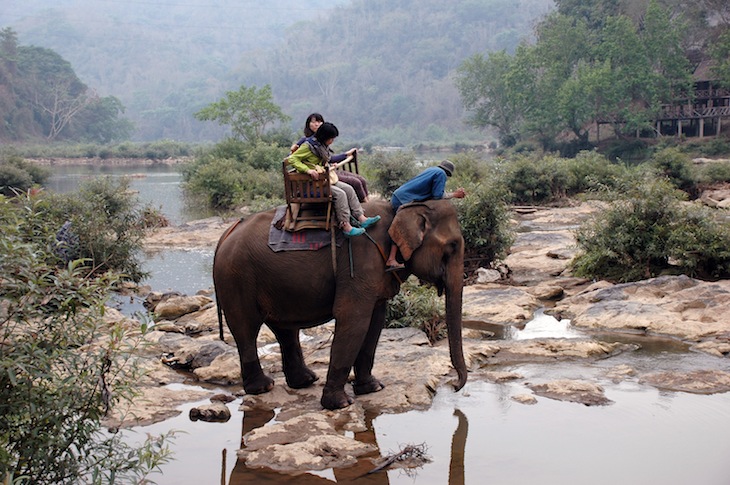 Passeio de elefante, a cruzar o rio Nam Khan