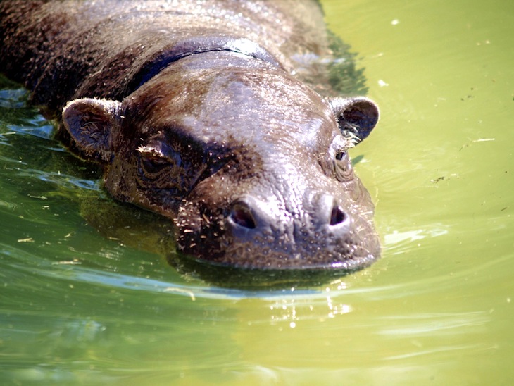 Zoo Santo Inácio