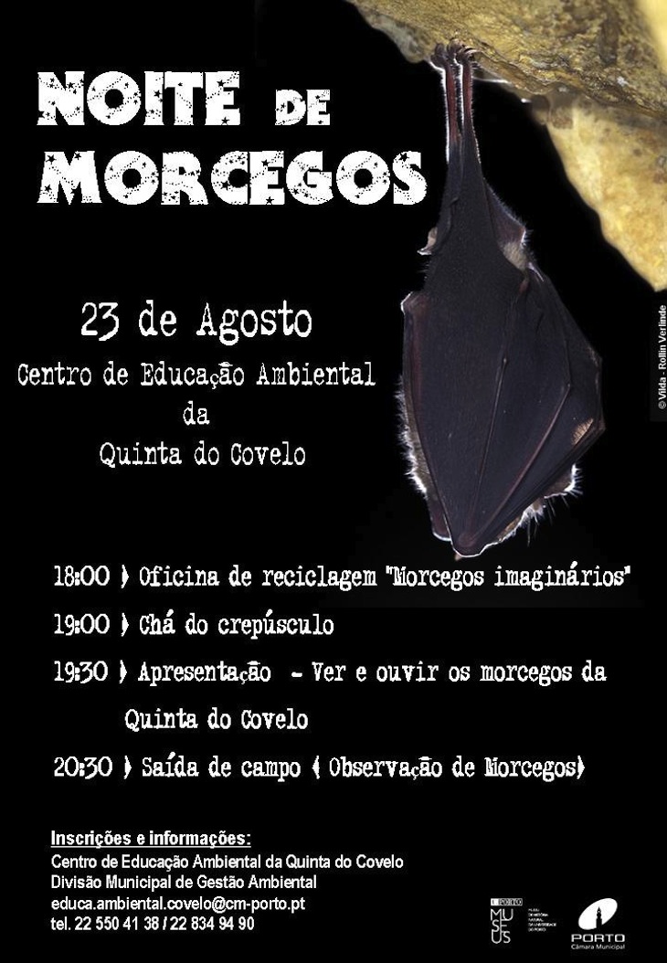 Noite de Morcegos 