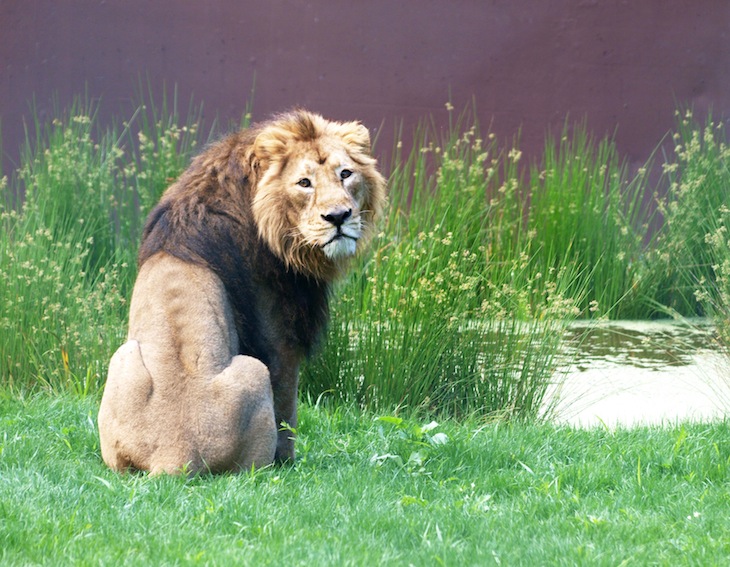 Zoo Santo Inácio