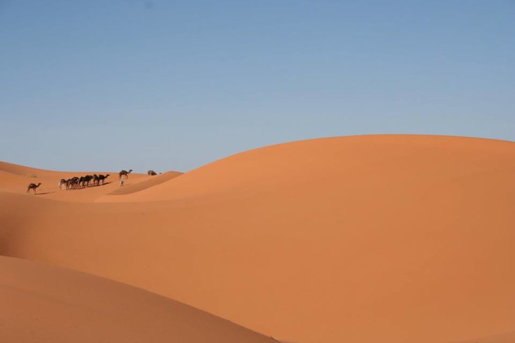 Marrocos.com