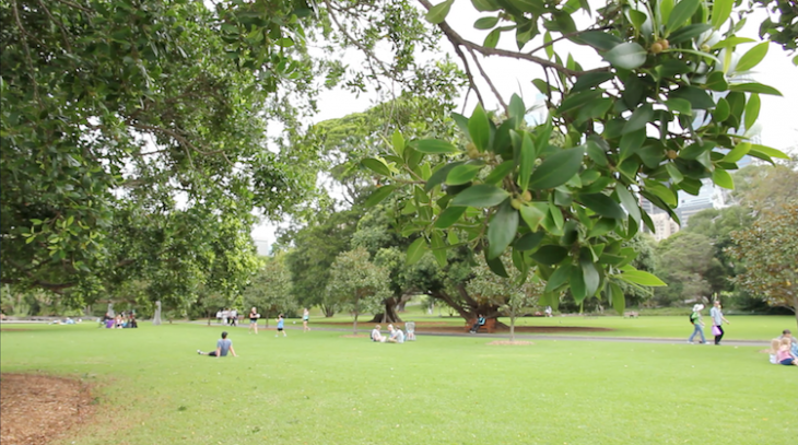 Botanical Garden num sábado à tarde