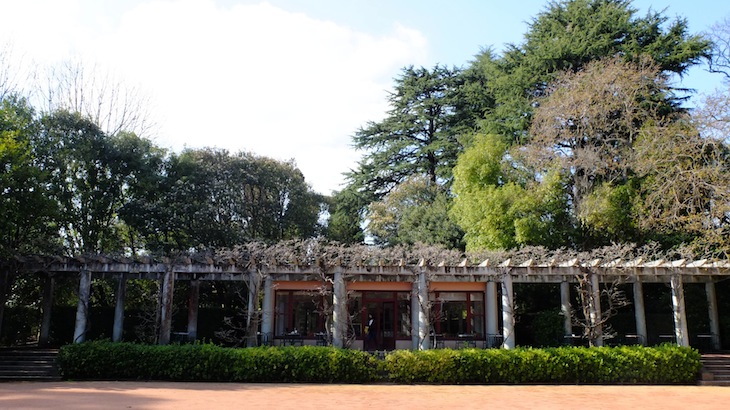 Casa de Cha de Serralves