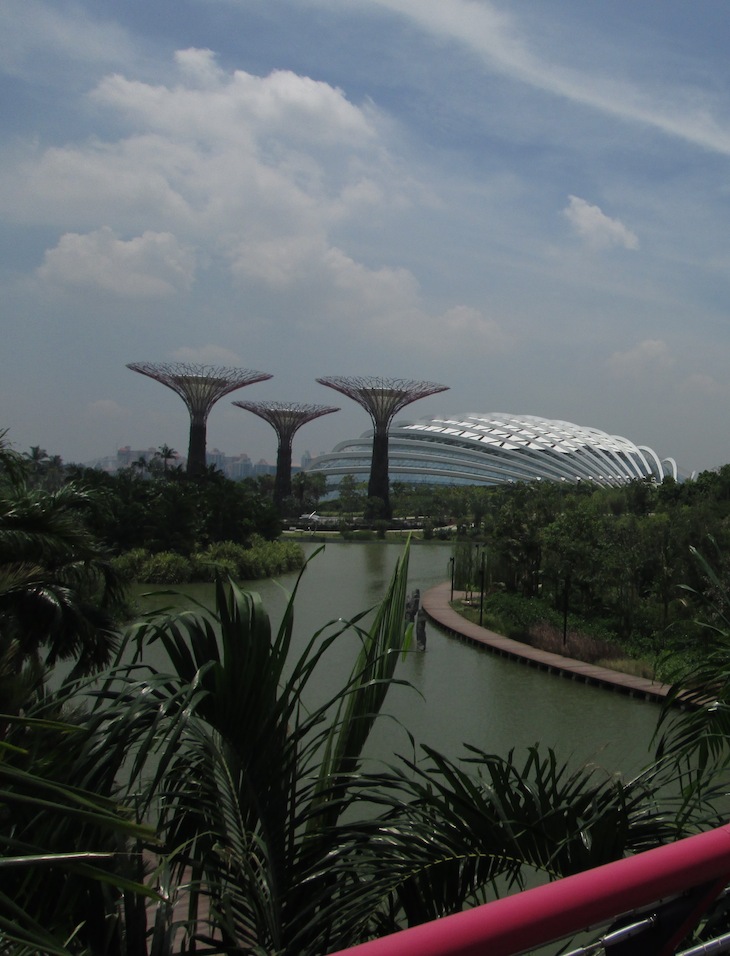 Gardens by the bay