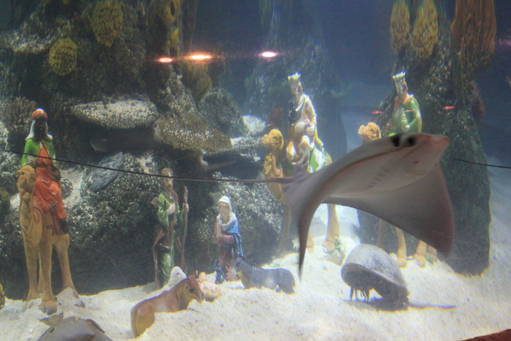 Presépio no Sea Life Porto