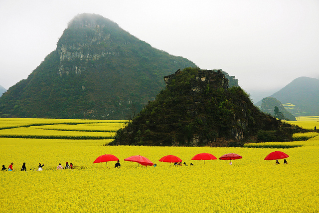 Luoping, China