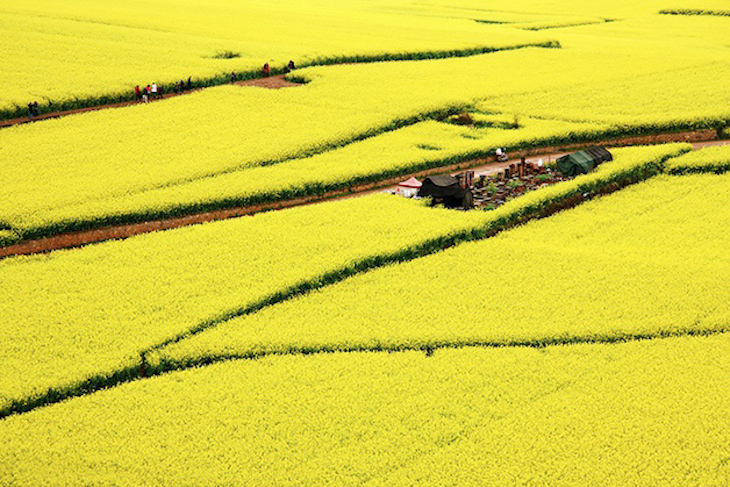 Luoping, China