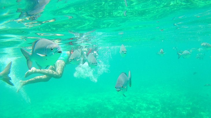 Snorkeling em Varadero - Cuba © Viaje Comigo