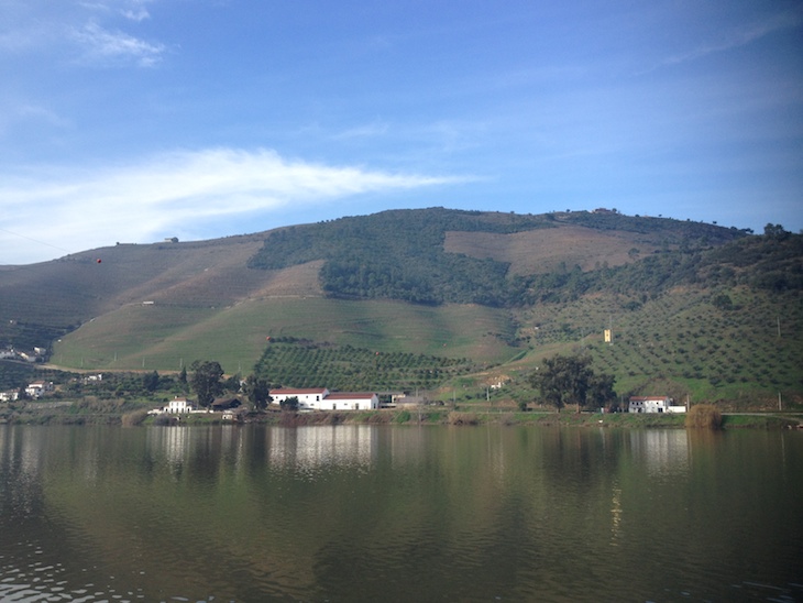 Douro à Vela