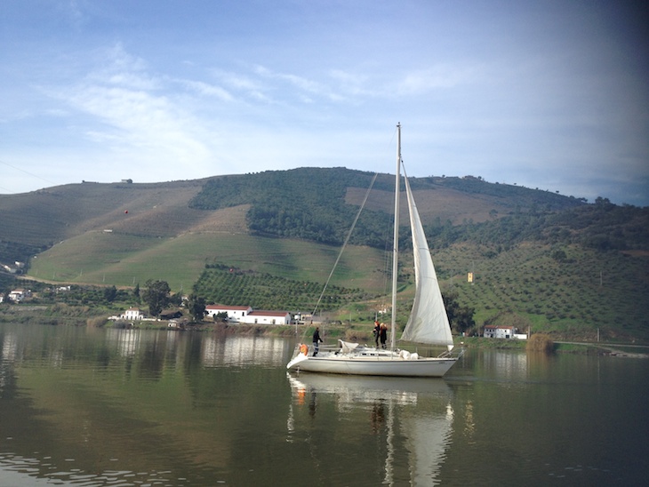 Douro à Vela