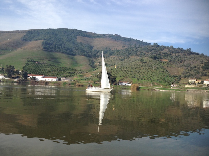 Douro à Vela