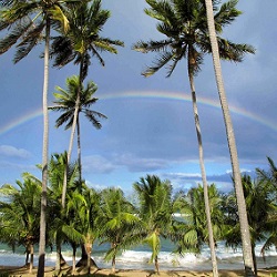 Praia do Forte