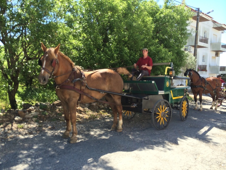 Passeios de charrete em S. Brás de Alportel