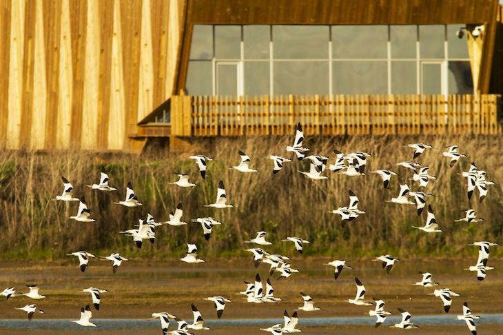 Espaço de Visitação e Observação de Aves