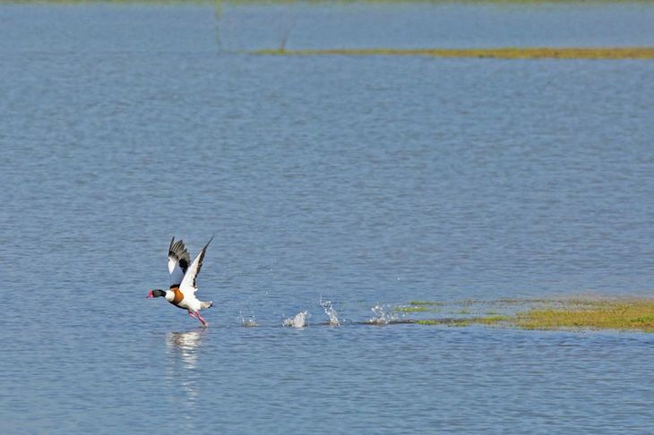 Espaço de Visitação e Observação de Aves