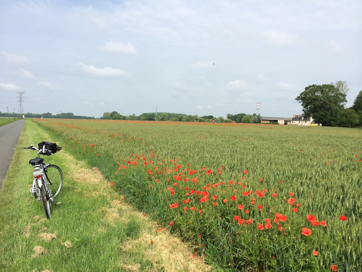 De Bicicleta no Vale do Loire