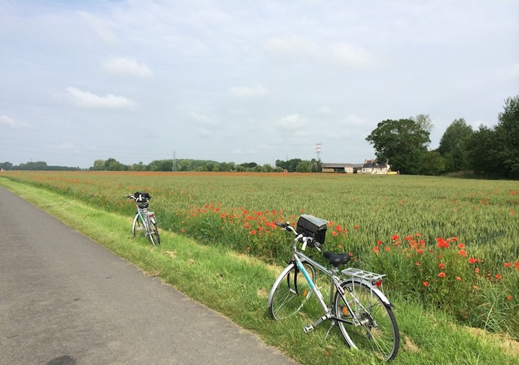 De bicicleta no Vale do Loire