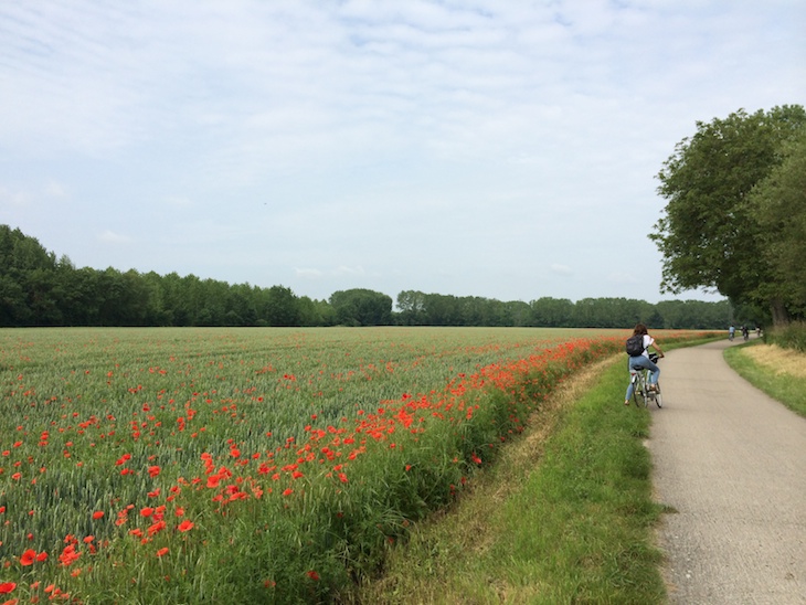 De bicicleta no Vale do Loire