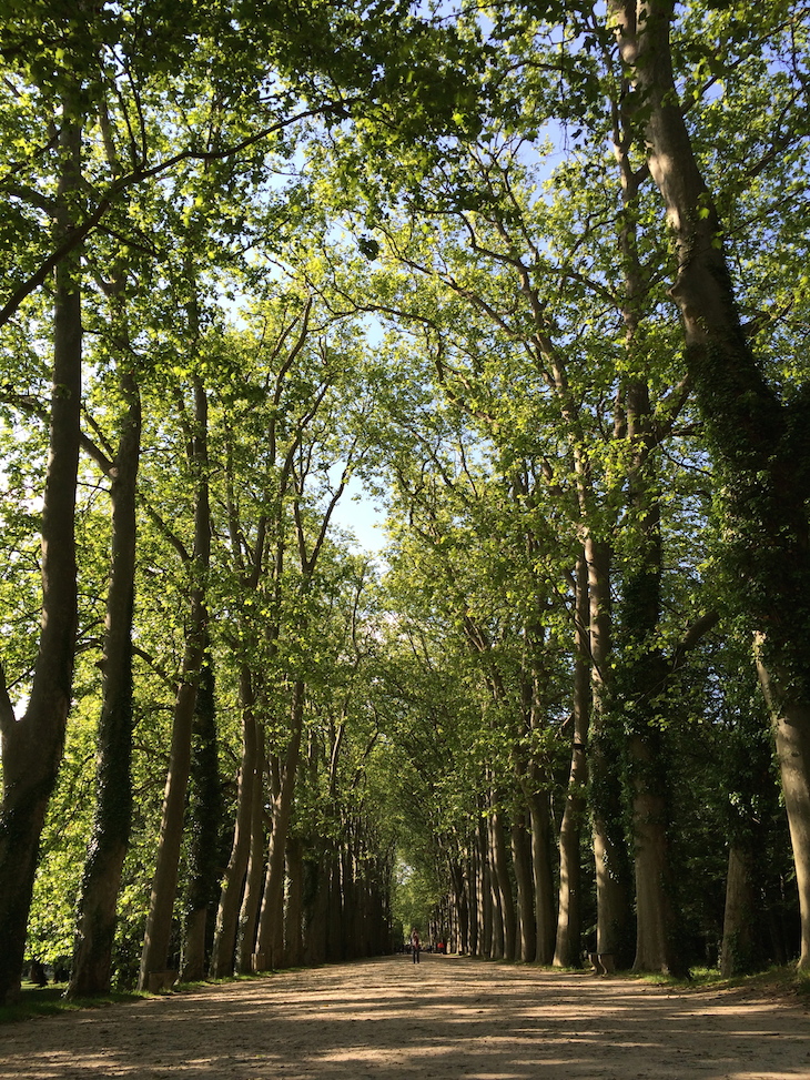 Castelo de Chenonceau