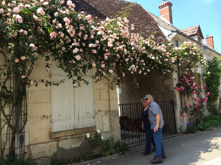 Festival de Rosas de Chédigny