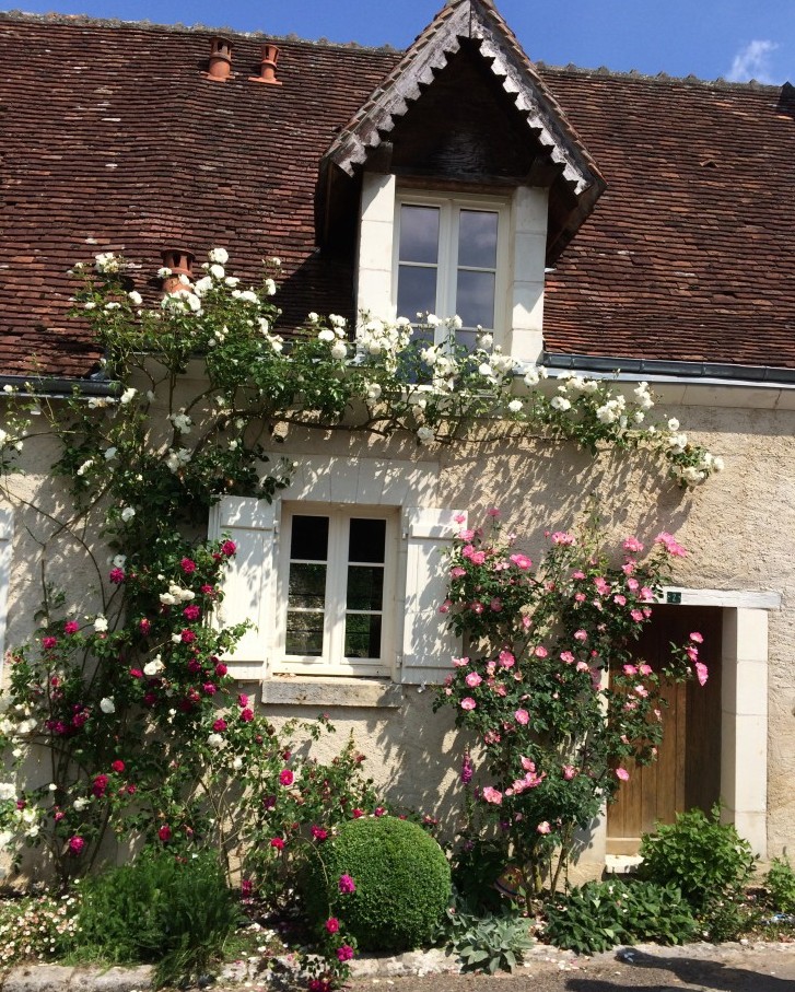 Festival de Rosas de Chédigny