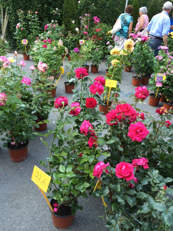 Festival de Rosas de Chédigny