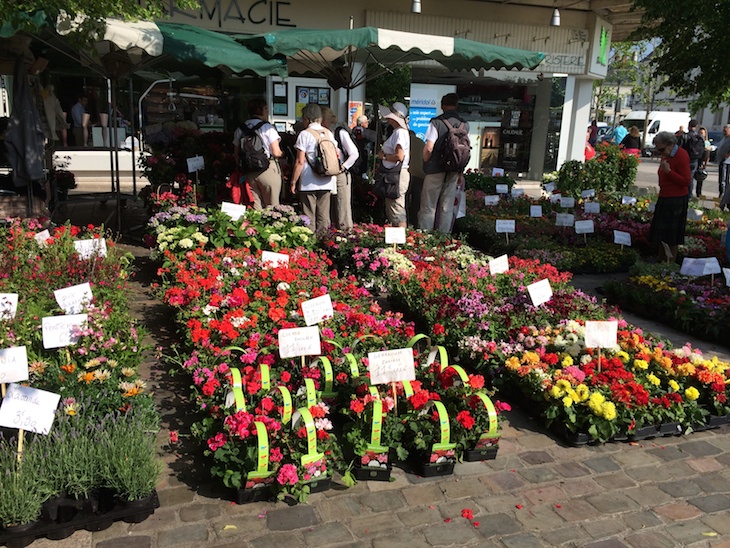 Mercado de Loches