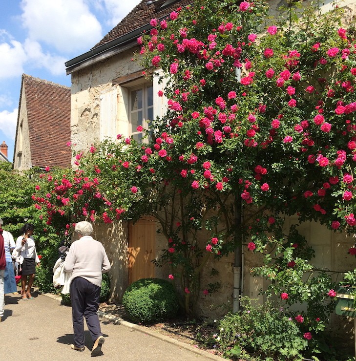 Festival de Rosas de Chédigny