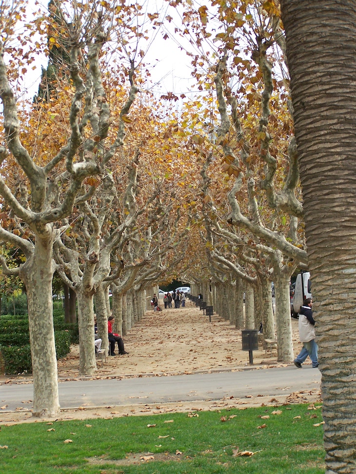 Parc de la Ciutadella, Barcelona © Viaje Comigo