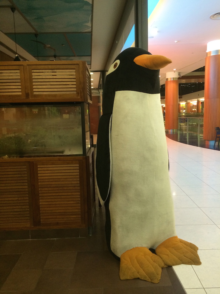Pinguim no restaurante Antártida do Palácio do Gelo