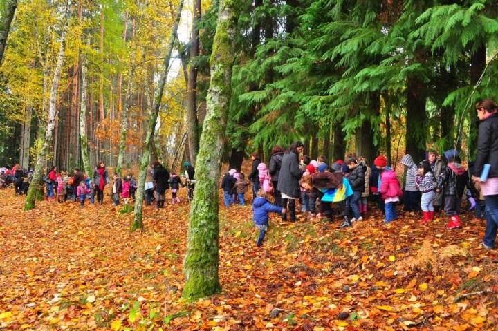 Parque Botânico Arbutus do Demo, Vila Nova de Paiva