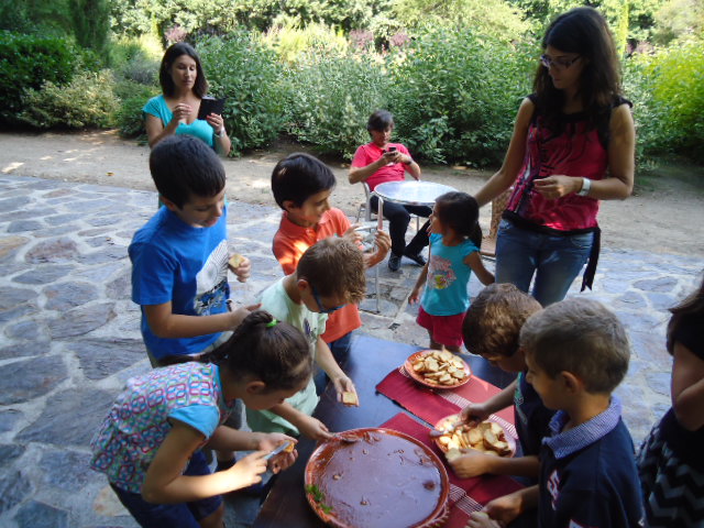 Parque Botânico Arbutus do Demo, Vila Nova de Paiva