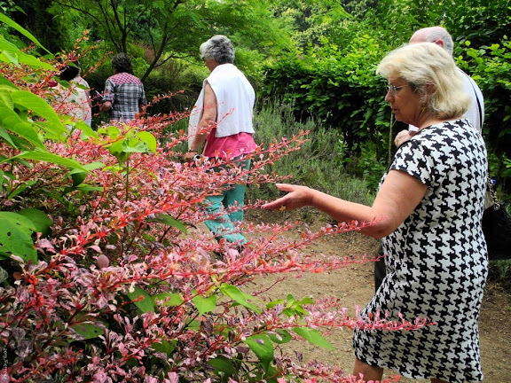 Parque Botânico Arbutus do Demo, Vila Nova de Paiva