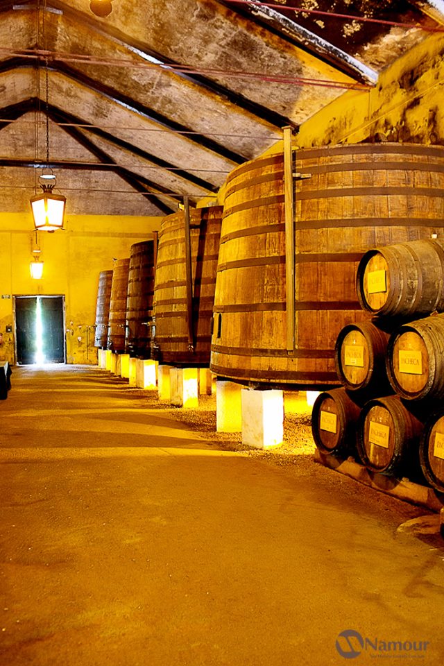 Quinta da Pacheca - DR