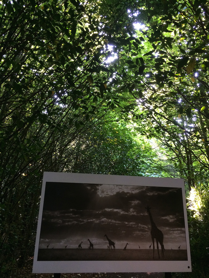 Exposição de Fotografia em La Gacilly