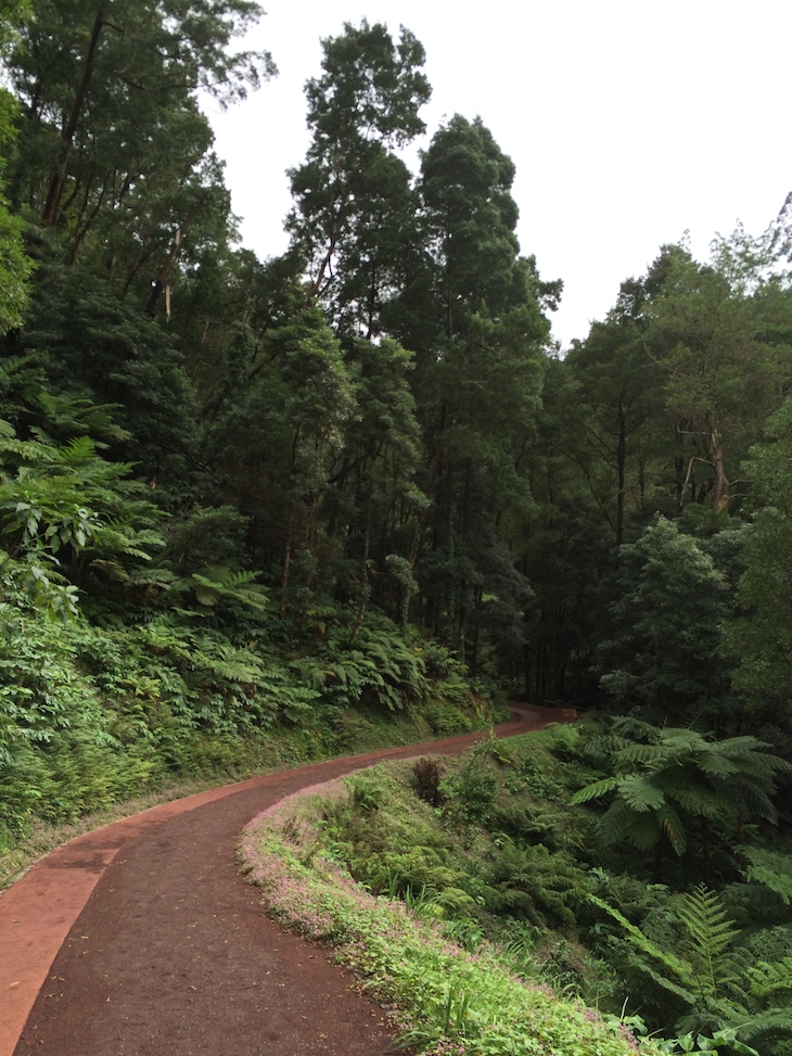 Caldeira Velha, Ribeira Grande, São Miguel, Açores