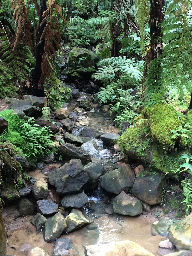 Caldeira Velha, Ribeira Grande, São Miguel, Açores