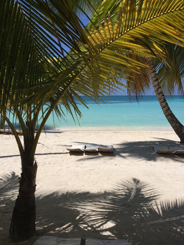 Ilha Saona, República Dominicana © Viaje Comigo