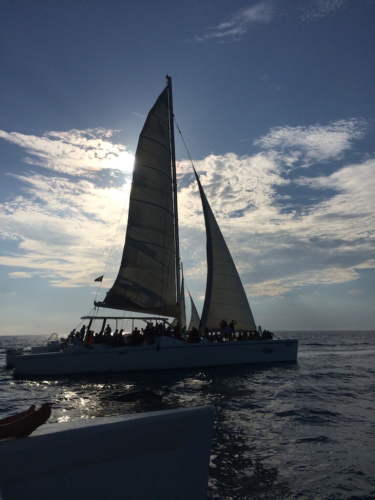 No catamarã: Ilha Saona, República Dominicana Barco