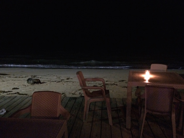 Bares e restaurantes em Las Terrenas, ficam em cima da praia