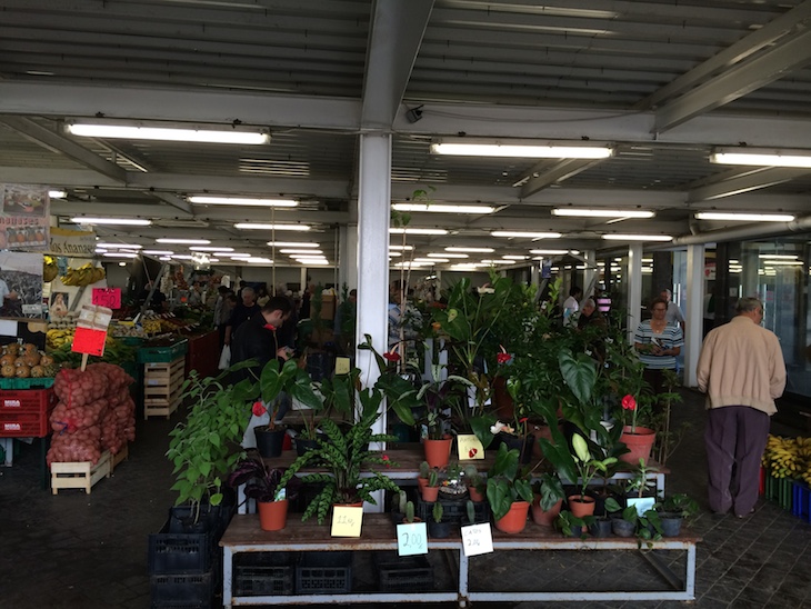 Mercado Ponta Delgada