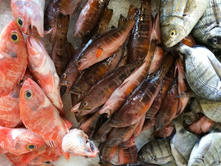 Peixaria do Mercado Ponta Delgada