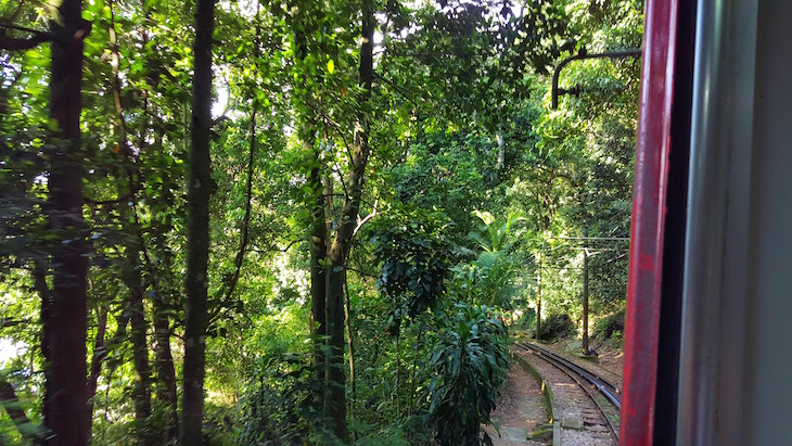 No Trem do Corcovado, Cristo Redentor, Rio de Janeiro, Brasil © Viaje Comigo