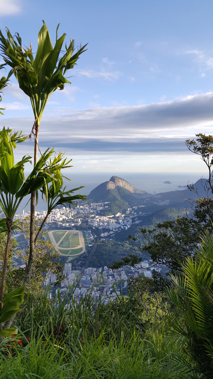 No Trem do Corcovado, Cristo Redentor, Rio de Janeiro, Brasil © Viaje Comigo