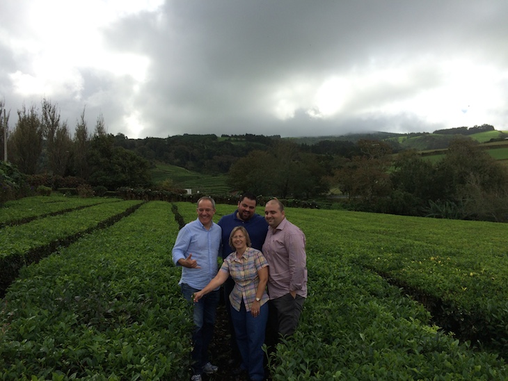 Chefs na plantação de chá da Gorreana: António Alexandre, Diogo Rocha, Tiago Santos e Justa Nobre