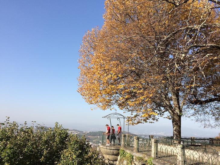 Miradouro no Bom Jesus